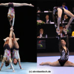 Die Formationen des Jahres 2009
