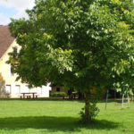 Am Samstag geht’s wieder auf den Wagnershof!